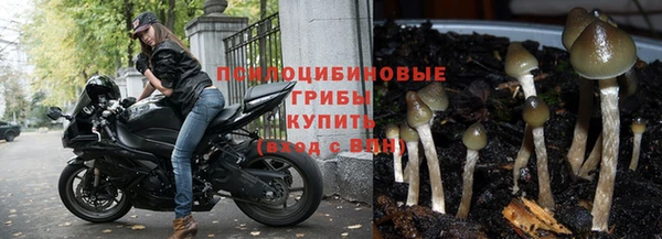 герыч Алексин