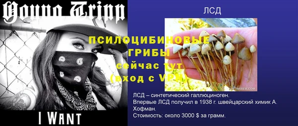 герыч Алексин