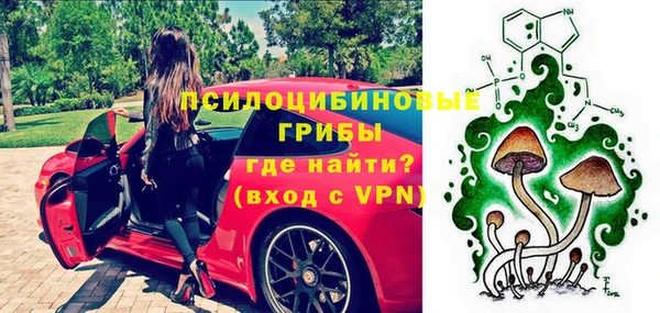 Альфа ПВП Магас